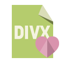 file,format,divx,heart icon