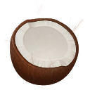 coconut icon