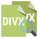 file,format,divx,zoom icon