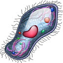 cell icon