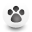 paw icon