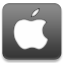 apple icon