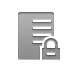server,lock icon