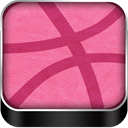 dribbble icon