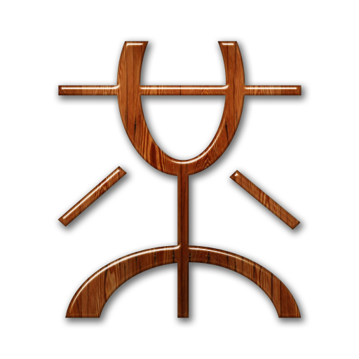 mister,wong,logo icon