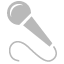 mic icon