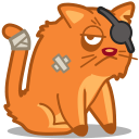 cat, pirate icon