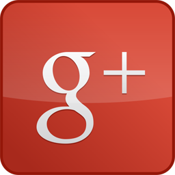 googleplus,custom,gloss,red icon