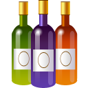 xmas,bottle icon