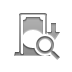 deposit,zoom icon