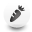 carrot icon