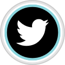 connect, media, social, twitter svg vector icon
