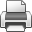 print icon