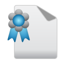 certificate icon
