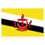 brunei, programmer icon