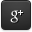 g+ icon