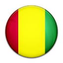 flag,guinea,country icon