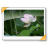 maniac 21 icon