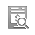 invoice,zoom icon