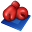 boxing icon