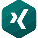 social network, xing svg vector icon