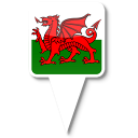 wales icon