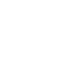 check,inv icon
