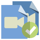 file,type,video,checkmark icon