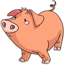 pig icon