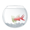 aqua,fish,goldfish,animal icon