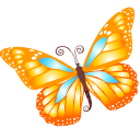butterfly,orange icon