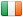 ie icon