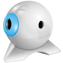 webcam icon