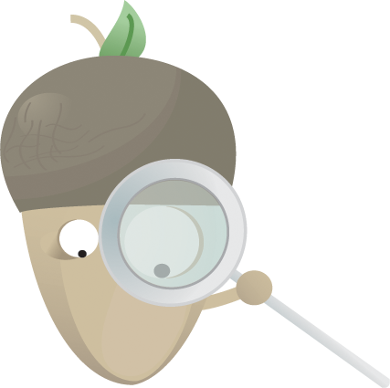 magnifying,glass icon