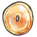opera, web icon