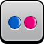 flickr icon