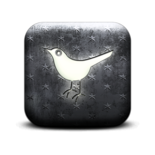 twitter,bird,animal,social network,social,sn icon