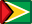 flag, guyana icon