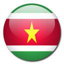 suriname,flag,country icon