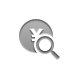 coin,yen,zoom icon
