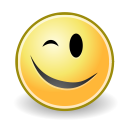 face, wink svg vector icon