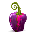 pepper, purple icon