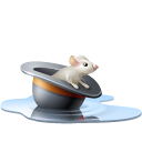 animal, chapeau, eau, hat, mouse, pool, rat, souris, water icon