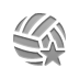 ball,volleyball,star icon