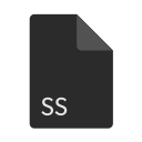 extension, file, format, ss svg vector icon