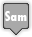 days, sam icon