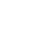 brush,inv icon