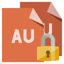 file,format,lock icon