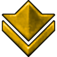 bronze icon