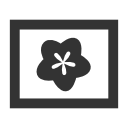 large icon